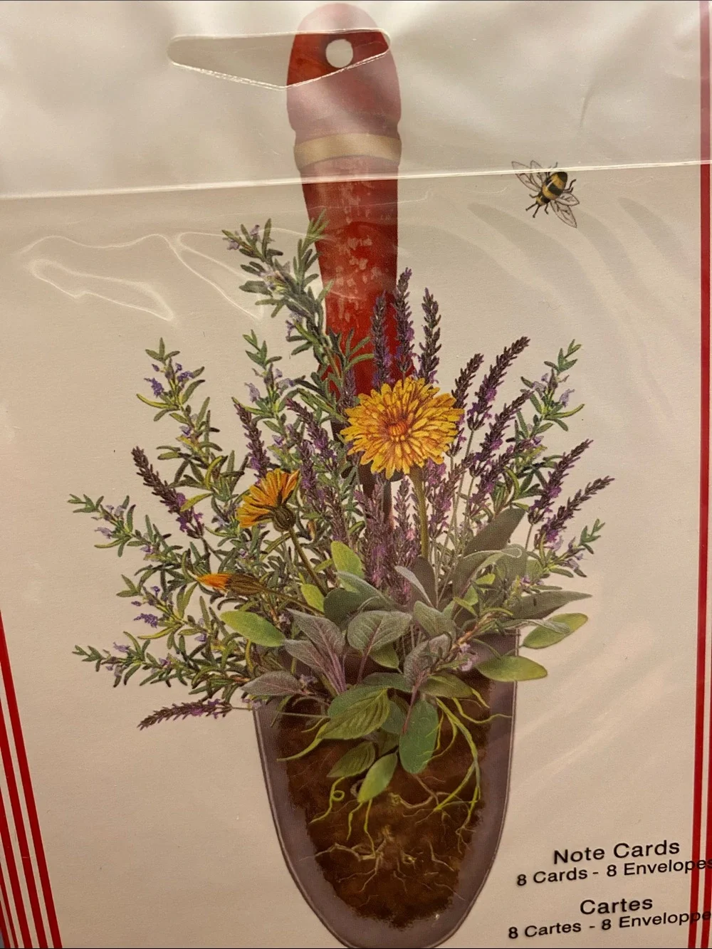 FREE Notecards - Picture 2 of 6